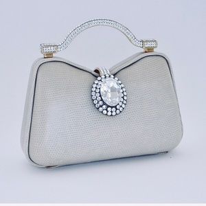 Designer Evening Bag Store Sample
